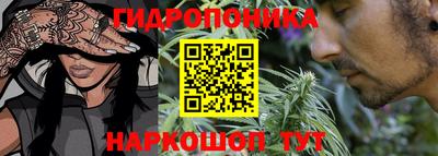 ГАЛЛЮЦИНОГЕННЫЕ ГРИБЫ Камышлов