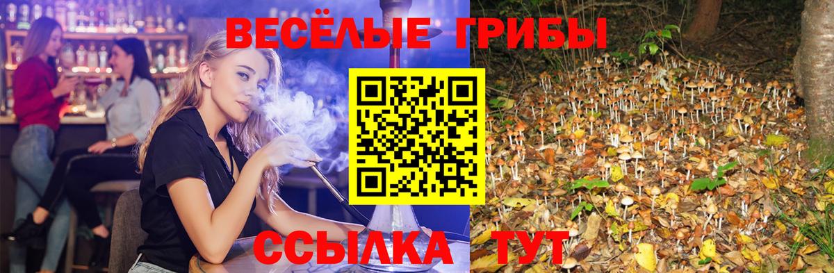 Псилоцибиновые грибы Cubensis Кыштым