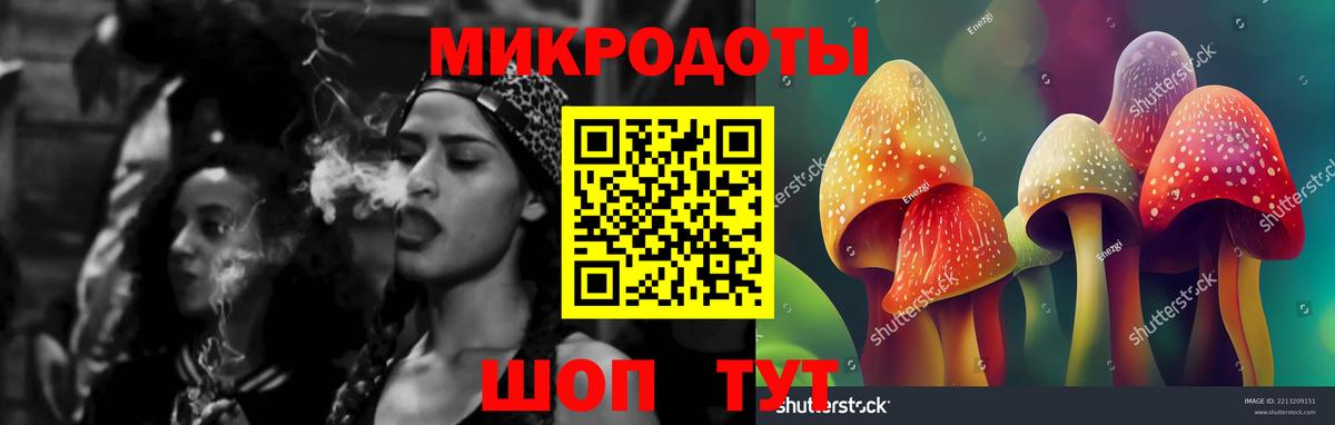 Кыштым  Галлюциногенные грибы Psilocybe  Вход с VPN 